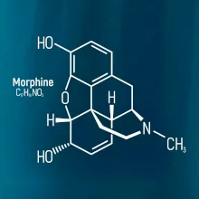 Molekulární struktura Morfin
