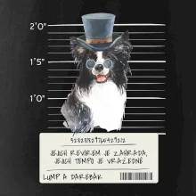 Lump a darebák border kolie