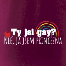 Gay princezna