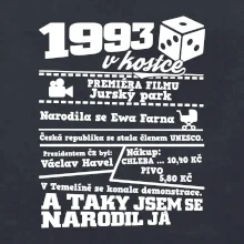 1993 v kostce