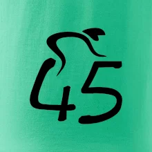 Cyklista slaví pětačtyřicítku (45)