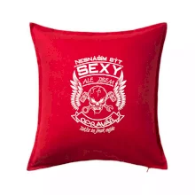 Nesnáším být sexy - opravář