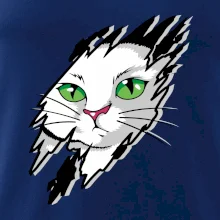 Kočka v roztrženém triku