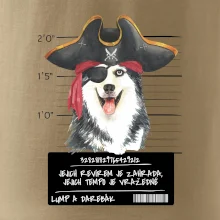 Lump a darebák husky