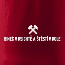 BINEĆ V KSICHTĚ A ŠTĚSTÍ V KOLE﻿