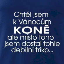 Chtěl jsem dostat k Vánocům koně