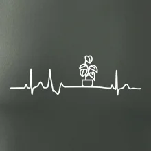 EKG Filodendron