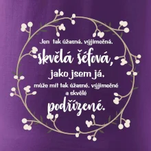 Jen tak skvělá šéfová jako jsem já