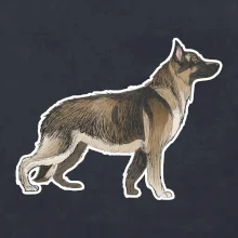 Německý ovčák - hnědý kreslený