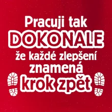 Pracuji dokonale krok zpět