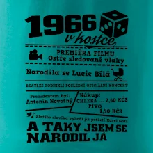 1966 v kostce