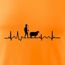 Ekg pastevec ovcí