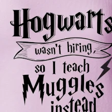 Harry - Hogwarts wasn’t hiring, so I teach Muggles instead