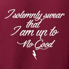 I solemnly swear that I'm up to no good