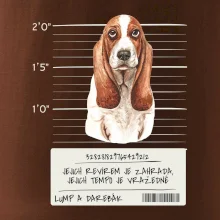 Baset - lump a darebák