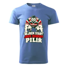 Nejsem starý, jsem zkušený pilíř