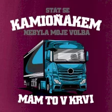Stát se kamioňákem nebyla moje volba