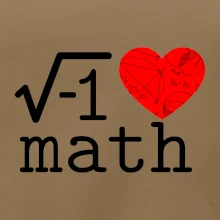 I love math