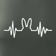 EKG zajíc EKG zajíc