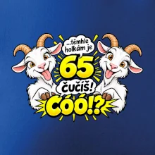 Těmhle holkám je 65, čučíš co?