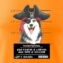 Lump a darebák husky