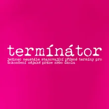 Čeština 2.0 - termínátor