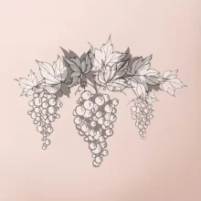 Vinné hrozny šedé