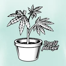 Konopi prostě pěstuju