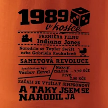 1989 v kostce