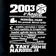 2003 v kostce