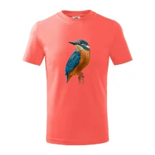 Lednáček kreslený