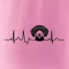 Lagotto romagnolo hlava EKG