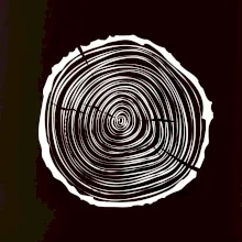 Letokruhy 25 bez věku