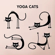 Kočičí jóga (Hana-creative)