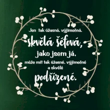 Jen tak skvělá šéfová jako jsem já