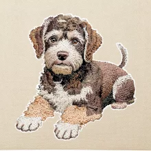 Lagotto romagnolo ležicí vyšívaný na prsu