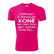 Chtěla jsem k Vánocům koně