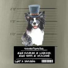 Lump a darebák border kolie