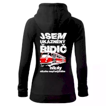 Jsem ukázněný řidič - tramvaj