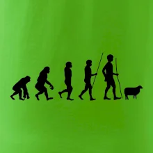 Evoluce pastevec ovcí