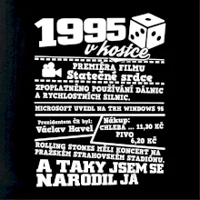 1995 v kostce