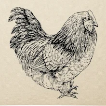 Slepice černobílá