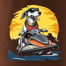 Chrt na vodním skútru