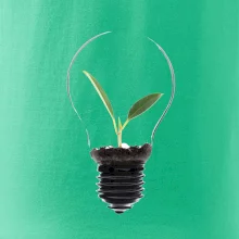 Žárovka květináč