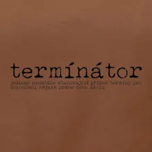 Čeština 2.0 - termínátor