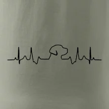Labrador EKG