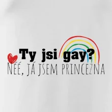 Gay princezna