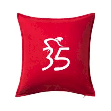 Cyklista slaví pětatřicítku (35)