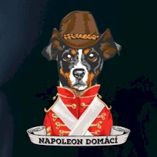 Napoleon domácí pes kříženec