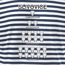 Slivovice počítání (Hana-creative) Slivovice počítání (Hana-creative)